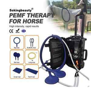 <span class=keywords><strong>Appareil</strong></span> de thérapie par impulsions électromagnétiques en promotion, <span class=keywords><strong>appareil</strong></span> PEMF <span class=keywords><strong>pas</strong></span> <span class=keywords><strong>cher</strong></span>, homologué CE, pour les écuries et fermes équine professionnelles - Product Image 6