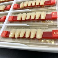 Dents en Résine Acrylique Dentaire Multicouches OEM pour Prothèses Dentaires