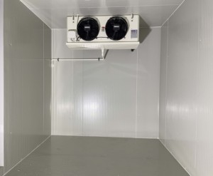 20Ft 40Ft Solar Container Sistema <span class=keywords><strong>de</strong></span> almacenamiento en frío Precio competitivo Sala <span class=keywords><strong>de</strong></span> congelador con motor y puntos <span class=keywords><strong>de</strong></span> venta clave del motor - Product Image 3
