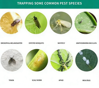 Piège à insectes collant suspendu facile à utiliser, piège tueur multifonctionnel