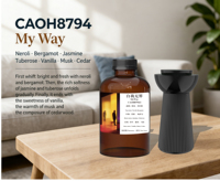 Produit Tendance 2026 : Huile Essentielle Parfumée pour Diffuseur d'Arômes, Usage Commercial Hôtelier, OEM ODM