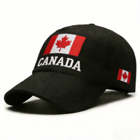 Gorra de Béisbol Oxford Dobby Impermeable con Logotipo Personalizado y Bandera Nacional, Bordado a Mano, para Fanáticos de Deportes, Ajustable, Transpirable, con Protección Solar