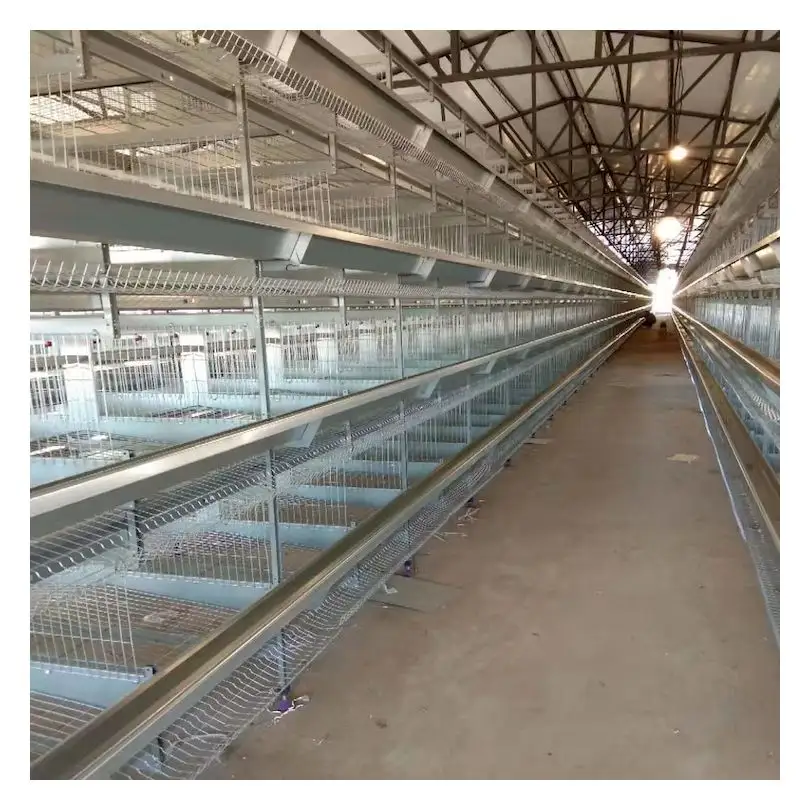 Hühnerei Geflügelfarm Batterie Huhn Schicht käfig in Nigeria