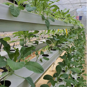 Système hydroponique aquaponique NFT AGG pour jardin intérieur, boîte de culture de plantes et légumes avec faible coût d'entretien et garantie d'un an - Product Image 5