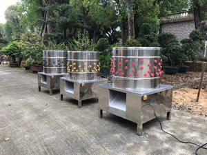 เครื่องถอนกำลังไก่ทำความสะอาดไก่ - Product Image 6