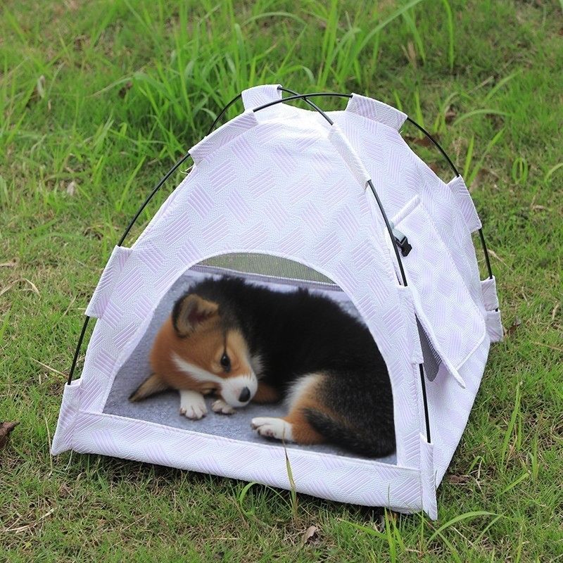 ลาเวนเดอร์