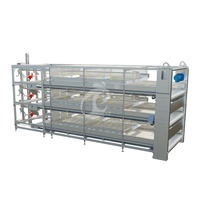 Cages à poulets fantaisie en Chine Fournisseur de cages à borier automatiques à cadre en H Cages à poulets de chair automatiques à 4 niveaux en gros