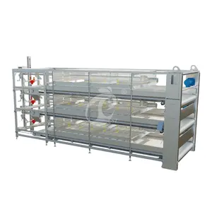 Cina Fancy Chicken Coops H Frame Automatic Boriler gabbie fornitore all'ingrosso automatico 4 Tier Broiler Chicken Cage