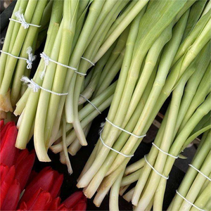 Máquina automática para atar rosas con cuerda elástica, máquina para amarrar y flejar verduras, 1 s/ramo, sin atascos - Product Image 6