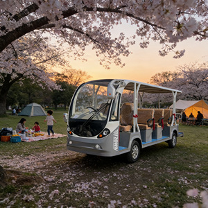Autobús Turístico Eléctrico con Certificación CE de 11 Plazas para Transporte en Parques y Resorts - Product Image 1