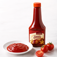 Meilleur prix de gros, ketchup tomate en bouteille de 295 g, 100 % pur, goût sucré et acidulé, sans additifs