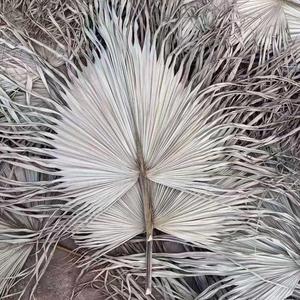 Trang Chủ Trang Trí Hoa Bảo Quản Tán Lá Cây Ổn Định Cây Cọ Khô Đầy Màu Sắc Lá Cây Cọ Khô - Product Image 1