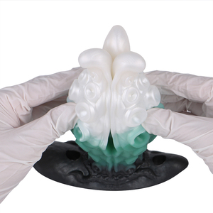 YOCY Godemiché Tentacule, Gag, Vibrateur, Godemiché Anal, Plug Anal pour Hommes et Femmes, Jouet Sexuel en Silicone avec Godemichés Tentacules pour Couples, Jeu Adulte - Product Image 5