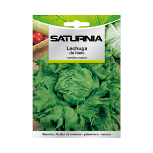 Semillas de Lechuga Ice Queen (7 gramos) - Product Image 1