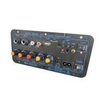 Carte amplificateur numérique D20 de marque originale, 10 pouces, 12V/24V/220V, carte mère de haut-parleur de voiture avec basses et réverbération, 100% neuve