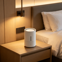 Mini diffuseur d'arômes multifonctionnel à brancher et humidificateur ionisant avec barre d'oxygène, commande par bouton, veilleuse pour voiture, bureau, maison