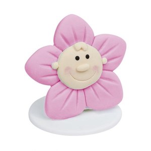 Fournitures de décoration de gâteaux FLOWER PINK - Product Image 1