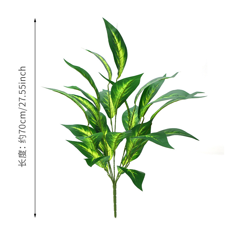 เผือกหัวใจเหลือง