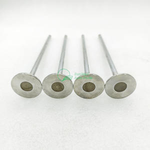 Válvula de admisión de piezas de motor S60 Dieces de alta calidad 8929589 - Product Image 5