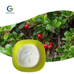 Cosmetic Alpha-arbutin Bearberry Extract Powder 99% Pure Natural Alpha Arbutin