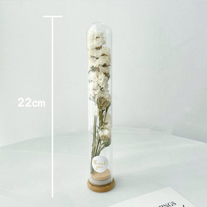 E77 Vente chaude Ensemble cadeau de fleurs séchées naturelles en tube de verre Pampas Fleurs séchées blanches et roses conservées avec du verre - Product Image 5