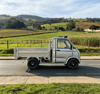 Mini camionnette électrique très économique, véhicule utilitaire électrique 4 roues, certifié CE, avec benne de 1,6 x 1,1 m, moteur sans balais, pour adultes