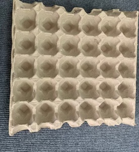 Moules à œufs à 30 cavités en plastique ABS, compatibles universellement avec les cartons à œufs, pour machine de fabrication de plateaux à œufs à petite échelle, pièces de rechange - Product Image 2