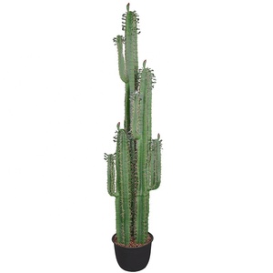 Nuovo stile albero Bonsai pianta di plastica grande <span class=keywords><strong>Cactus</strong></span> artificiale per la decorazione del Patio - Product Image 2