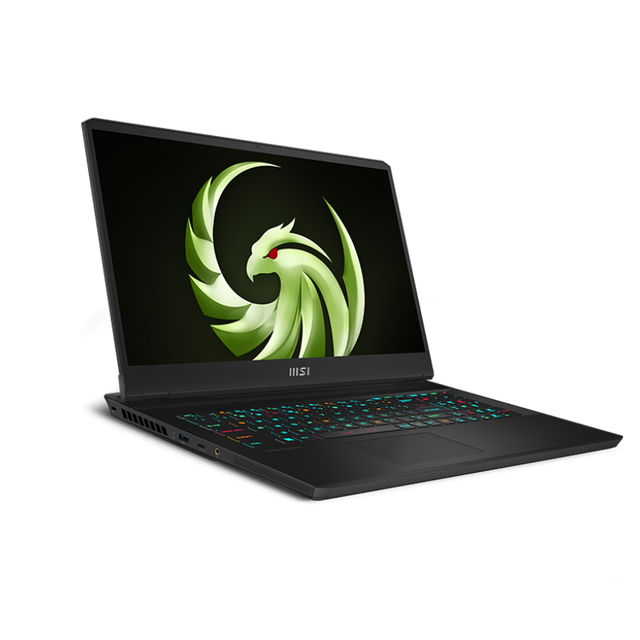 MS1 C7VG-046CN Gaming Laptops 17.3 Inch IPS Screen 240Hz R9 7940HX RTX 4070 1TB SSD Gaming Laptop