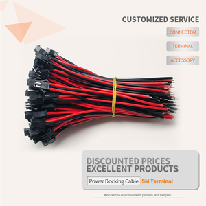 Personalizzabile JST SM 2pin spina maschio a femmina connettore cavo lungo 10cm Pigtail spina 2pin per luce Led Driver lampada - Product Image 2