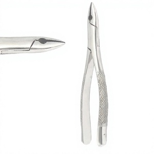 Forceps d'extraction dentaire 101 pour canins supérieurs et inférieurs et dents de lait, instrument d'extraction manuel en acier inoxydable - Product Image 1