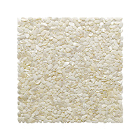 Vente en gros Mosaïque de coquillage Mosaïque de nacre Artisanat naturel Carrelage Comptoir de bar pour cuisine Balcon Salle de bain Décoration murale