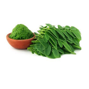 Chiết xuất lá Moringa tự nhiên - Product Image 1