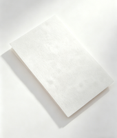 Feuilles de lessive écologiques jetables, véganes et biodégradables, faible mousse, parfum jasmin, marque privée