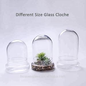 Cúpula y base de vidrio, maceta de terrario transparente de 5,9x7 pulgadas para plantas carnívoras, cactus pequeños, suculentas, Decoración de mesa - Product Image 4