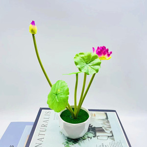 Plantes artificielles en pot de lotus Qi Xing, 25 cm, verdure en plastique pour la décoration intérieure, commerce électronique transfrontalier - Product Image 3