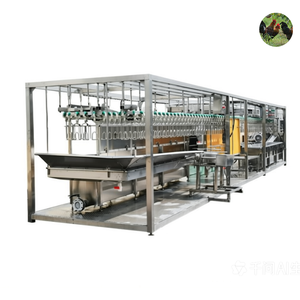 Chicken Killing Line for Sale Automatic Chicken Slaughter Equipment Automatic Poultry Slaughtering Line - Product Image 6
