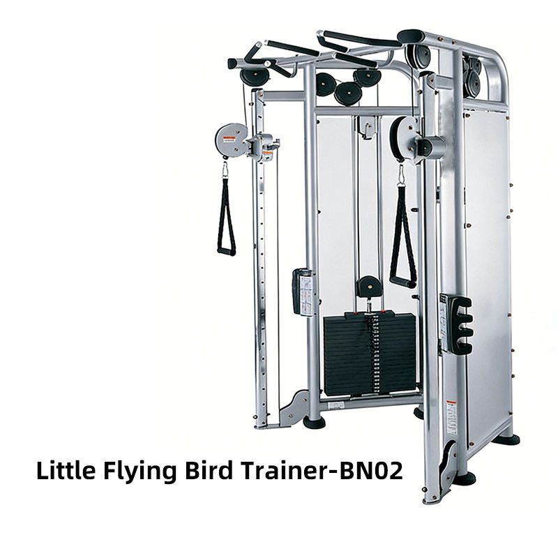 Flying Bird Gantry-02-Silver