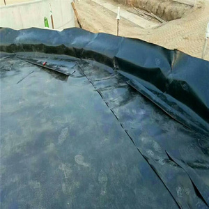 Máy Khử Khí Sinh Học Đập Bể Chứa Nước Và Xây Dựng Đường Bộ 0.5Mm Màng Đất HDPE Composite Bán Cho Hồ Bơi - Product Image 3