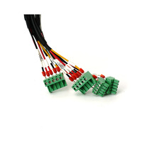 Harness Kabel Multi-cabang Kompleks Kustom dengan Blok Terminal Hijau, Kumparan Choke Cincin Ferit untuk Peralatan Otomasi Industri