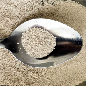 <span class=keywords><strong>Levadura</strong></span> en Polvo de Grado Alimenticio para Panadería, Baja en Azúcar/Alta en Azúcar, <span class=keywords><strong>Levadura</strong></span> Seca Instantánea 500g - Product Image 1