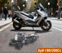 161QMK Gy6-180/200Cc Nouveau Moteur 4 Temps Refroidi par Eau avec Marche Arrière pour VTT et Karting, Allumage CDI, Arbre d'Équilibrage 3D, Refroidissement Huile/Air