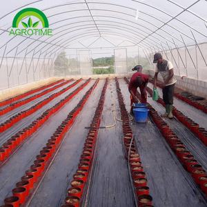 Venta de invernadero de un solo uso con sistema hidropónico y otro tipo de forraje opcional - Product Image 6