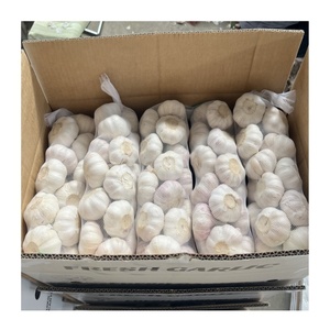 Ajo fresco fabricado directamente por la fábrica con precios al por mayor Noraml ajo blanco en bolsa de malla Ajo Fresco - Product Image 3