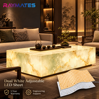 Feuille LED CCT découpable RAYMATES 24V 484 LED, feuille de lumière blanche flexible et réglable, panneau LED ultra-fin pour l'éclairage architectural