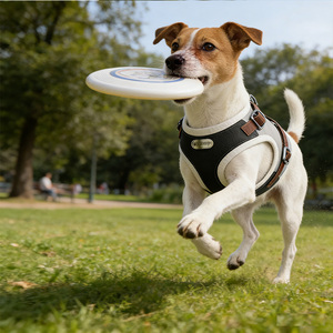 Arnés de Perro de Cuero de Lujo de Diseño OEM, Arnés de Correa para Mascotas Resistente y Personalizado, Sin Escape, con Colores Modernos - Product Image 4