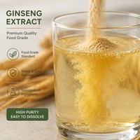 Extrait de Ginseng Panax Naturel en Poudre Qualité Alimentaire Rapport 10:1 Emballé Sous Vide pour l'Énergie