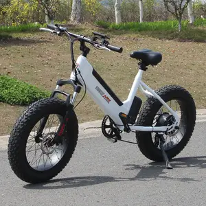 Bicicleta elétrica de suspensão completa, novo estilo, masculino, 48v, 12ah, pneu gordo 20*4.0, bicicleta para neve