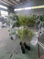 Caractéristiques des plantes artificielles, feuillage, traits décoratifs, arbre artificiel, citronnier vert, plantes artificielles plus variées