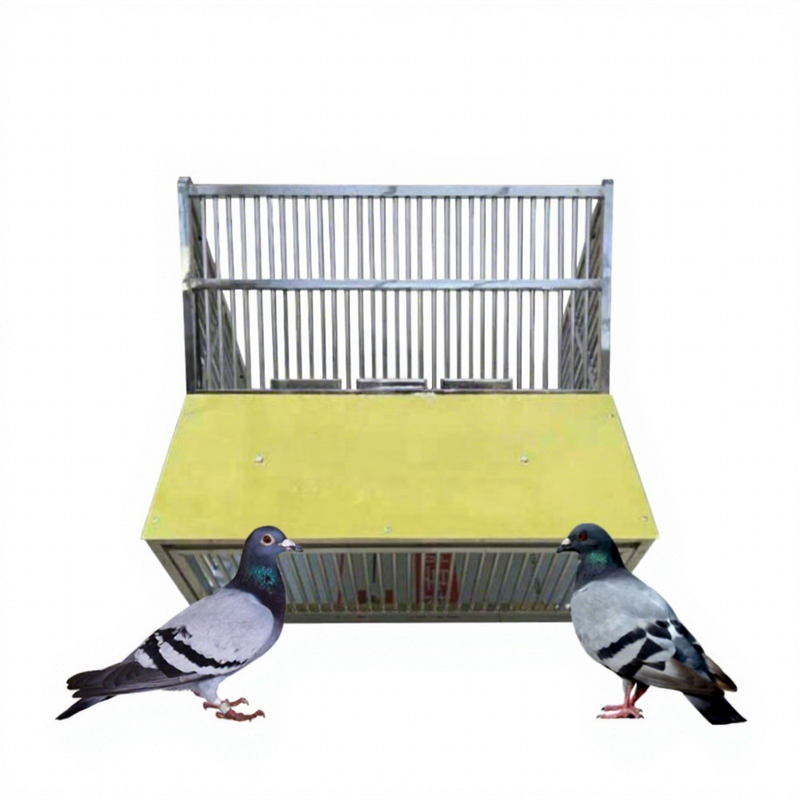Stainless Steel Jump Cage for Flying